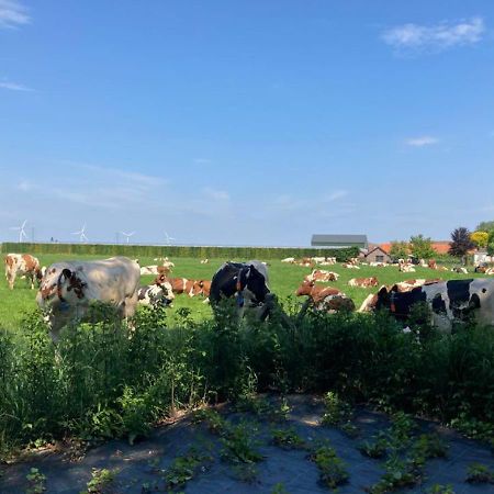 'T Zand Bed & Breakfast Echteld Esterno foto