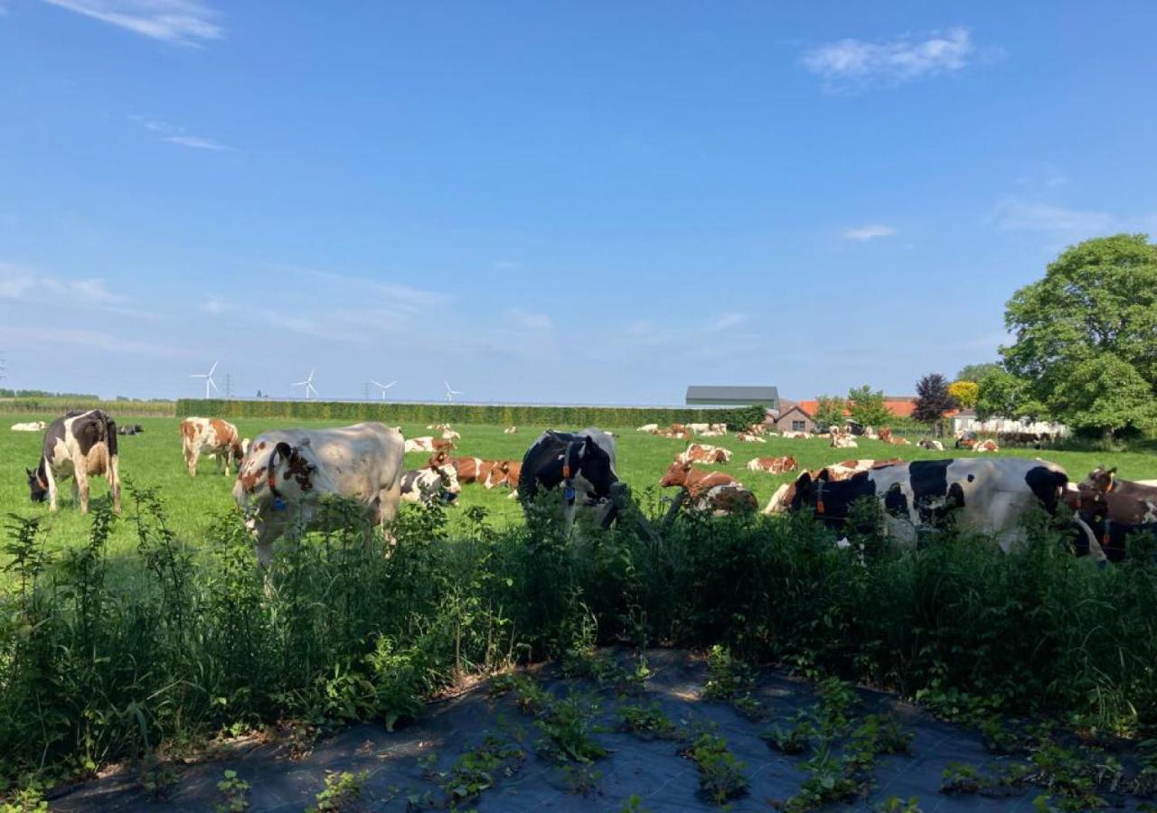 'T Zand Bed & Breakfast Echteld Esterno foto